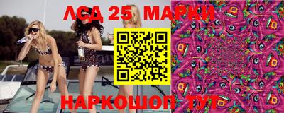 сатива Новозыбков
