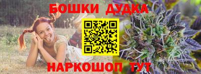 сатива Новозыбков