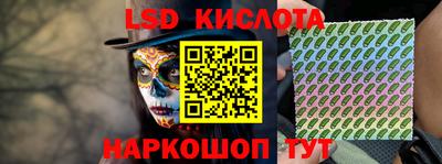 сатива Новозыбков