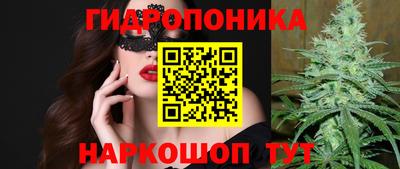 эйфоретик Новодвинск
