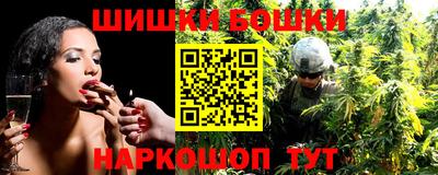 сатива Новозыбков