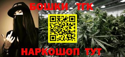 сатива Новозыбков