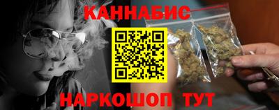 сатива Новозыбков