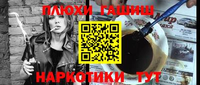 сатива Новозыбков