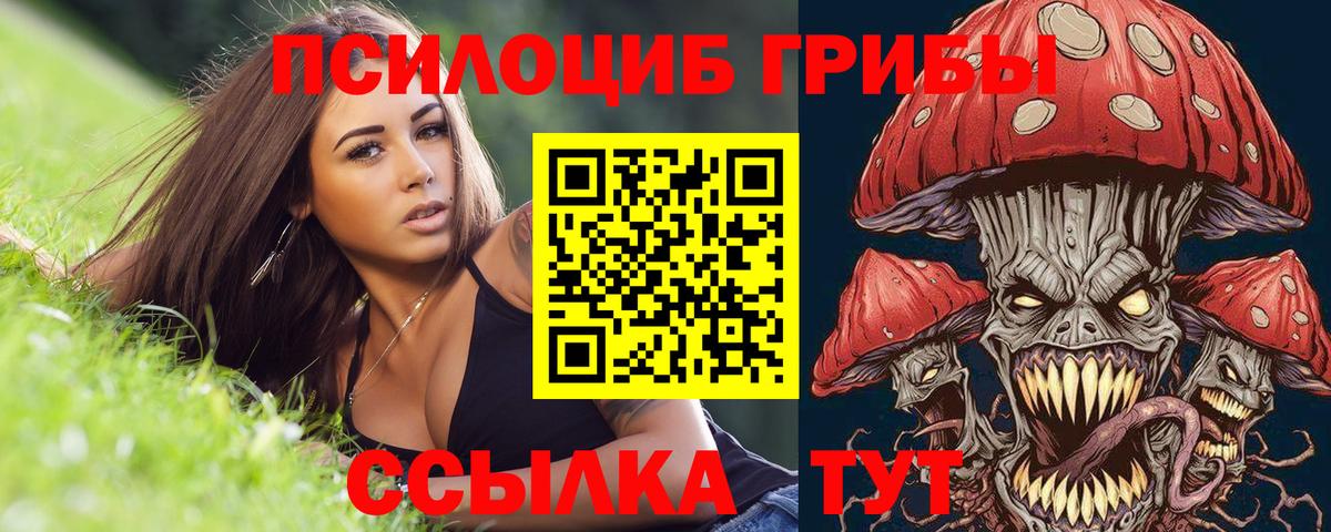 Галлюциногенные грибы мицелий Бердск