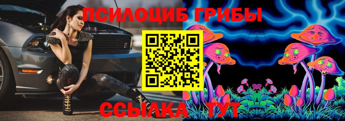 где найти наркотики  Галлюциногенные грибы прущие грибы  Вход с VPN  Бердск 